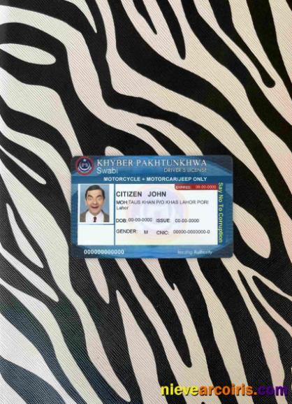 Pakistan driving license  photolook